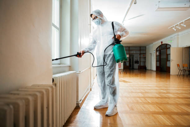 Best Real Estate Pest Inspections  in Clayton, NC